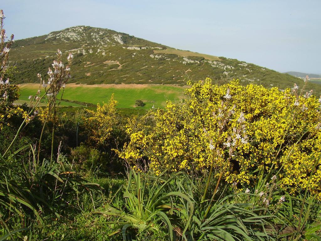 Farm stay Cuile De Molino