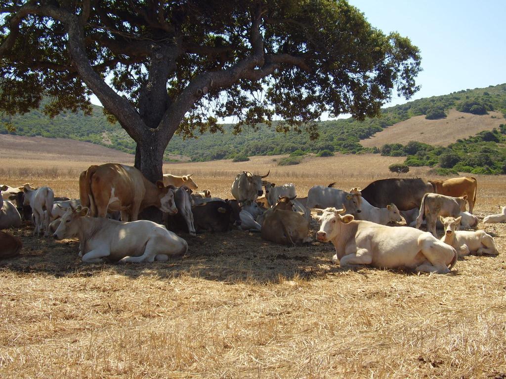 Cuile De Molino Alojamento de Turismo Rural