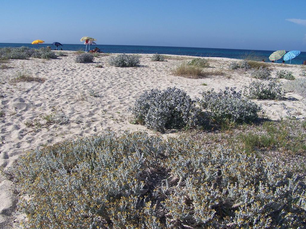 Alojamento de Turismo Rural Cuile De Molino Porto Torres