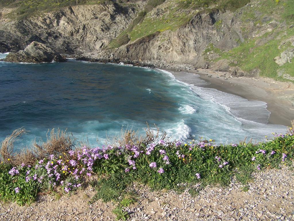 Cuile De Molino * Porto Torres