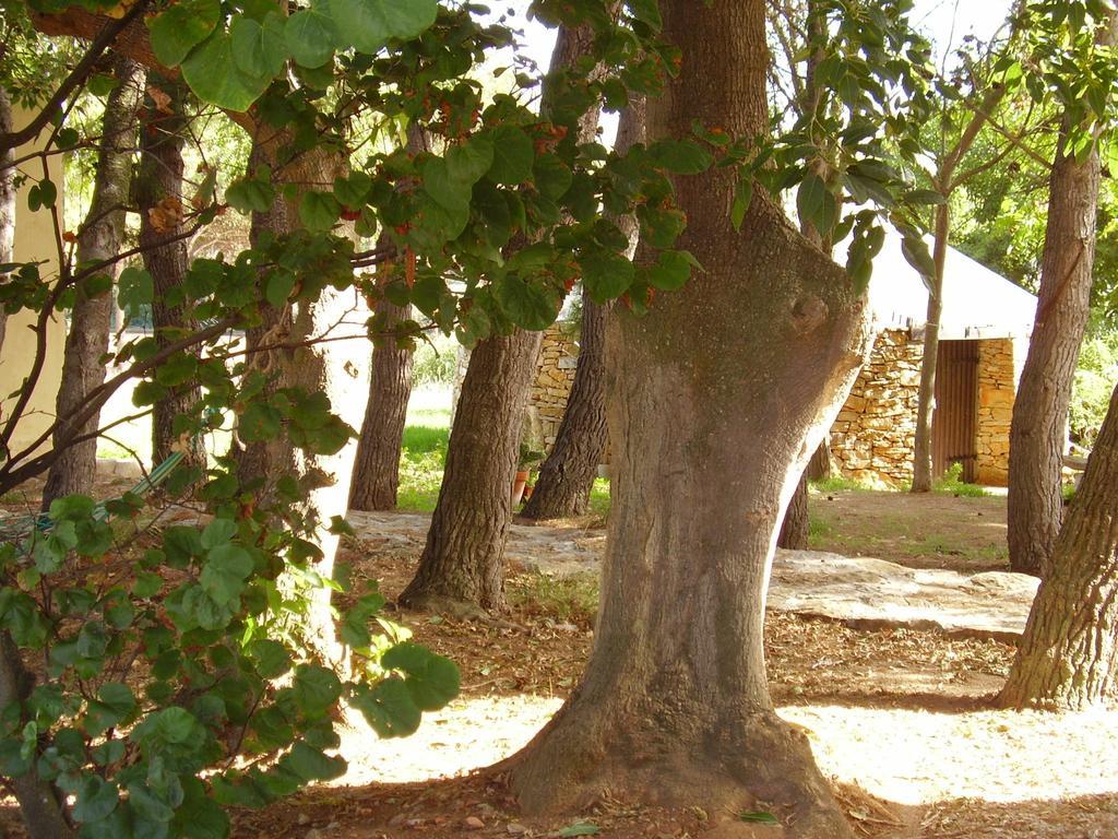 Cuile De Molino Porto Torres