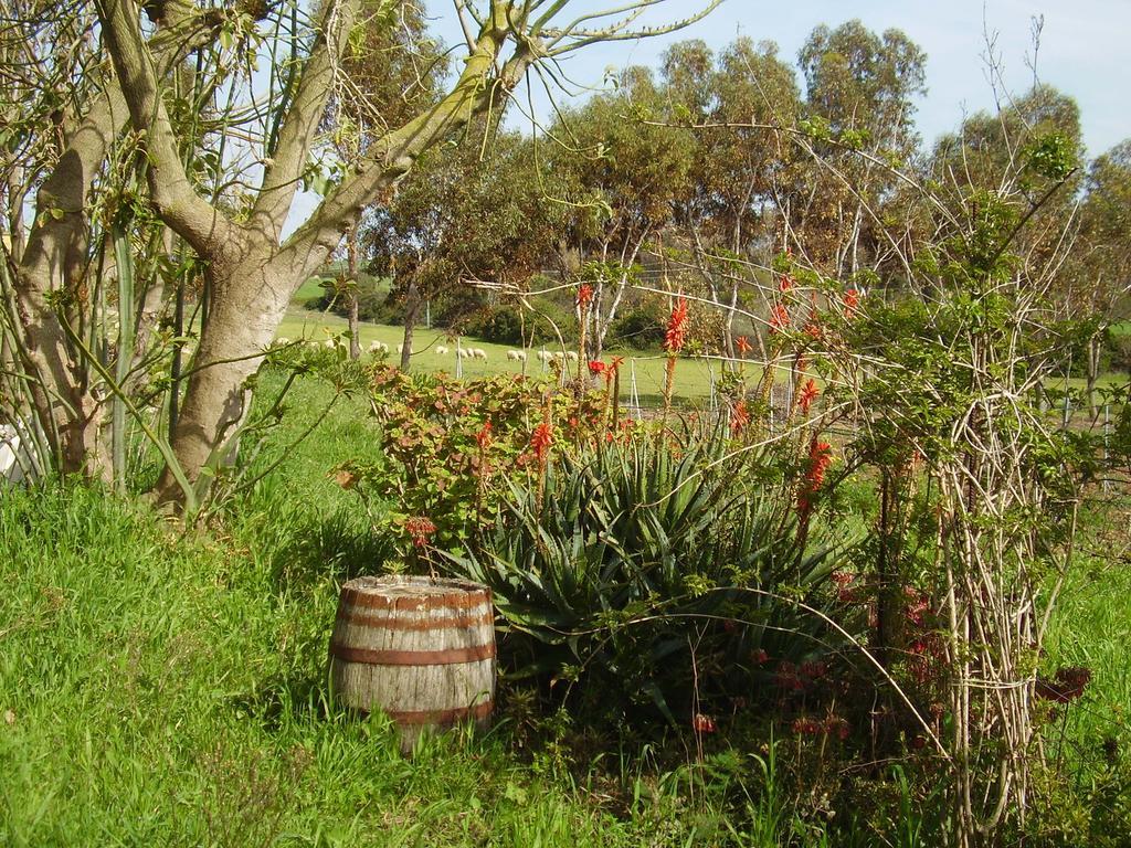 Cuile De Molino Alloggio per agriturismo