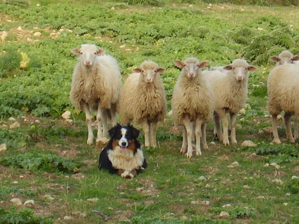 Bauernhof Cuile De Molino