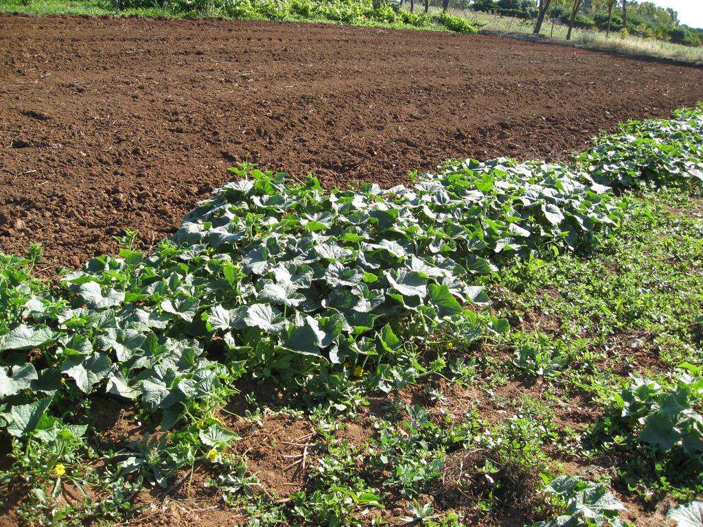 Cuile De Molino Alojamento de Turismo Rural