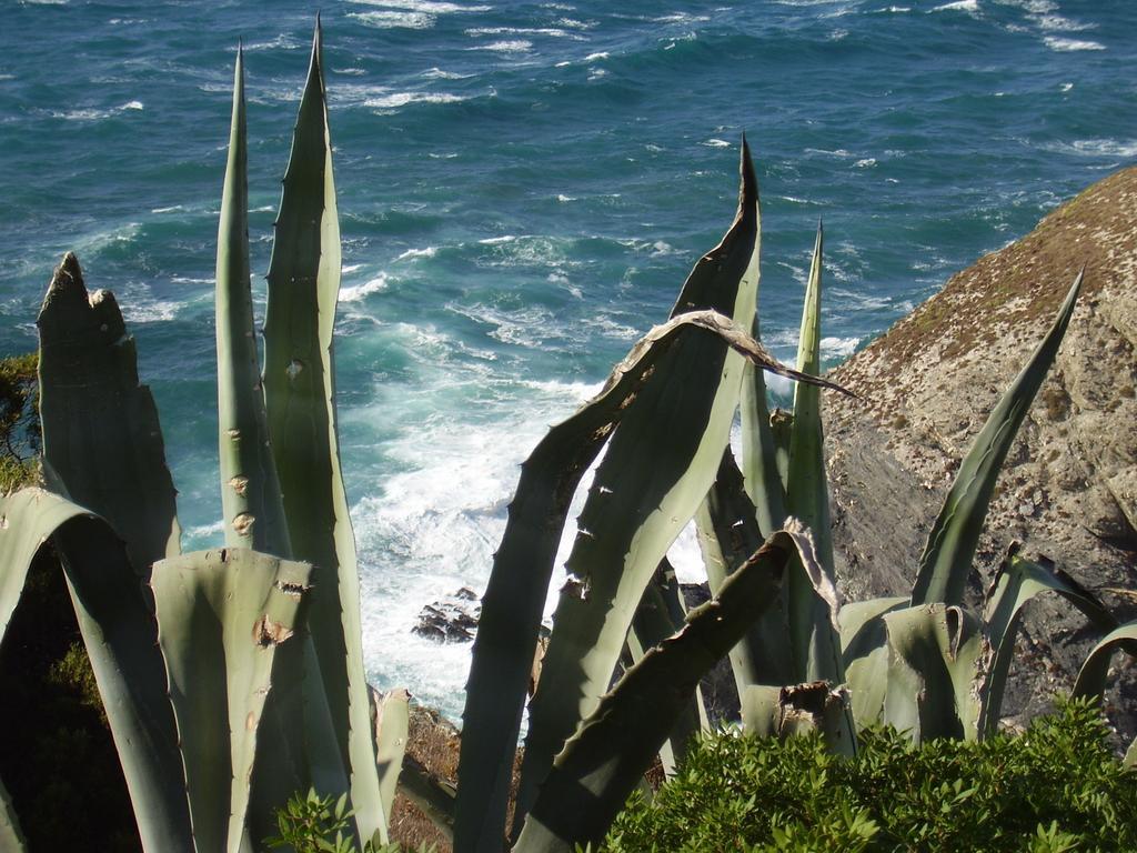 Cuile De Molino