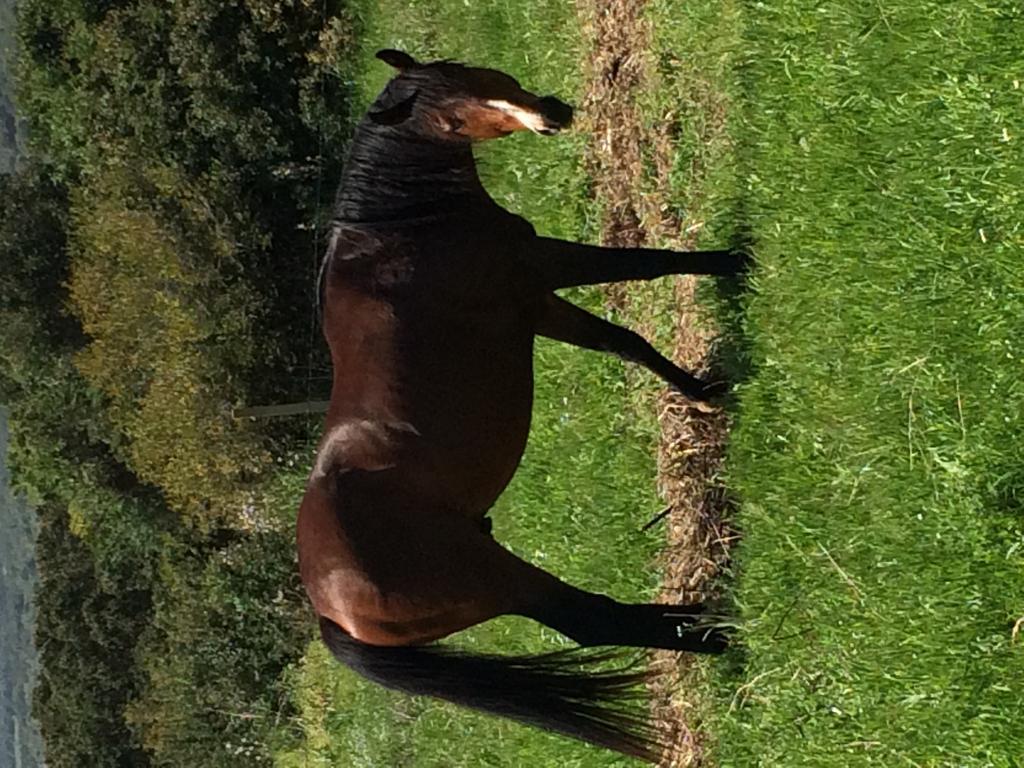 Cuile De Molino Bauernhof *