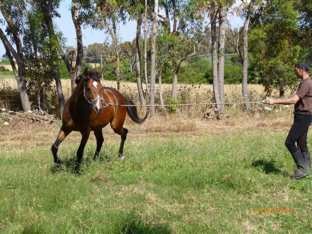 Cuile De Molino